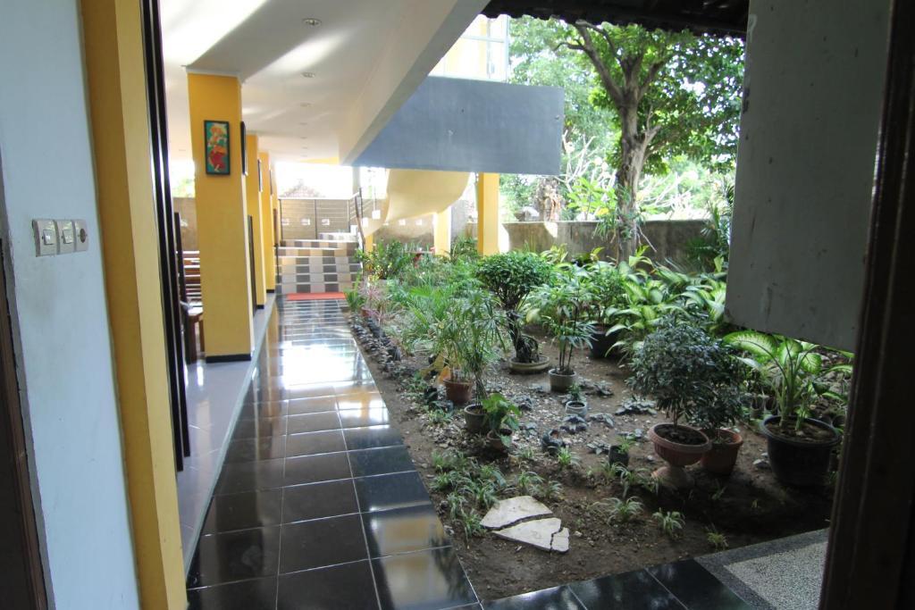 Ct1 Bali Bed & Breakfast 庫塔 外观 照片